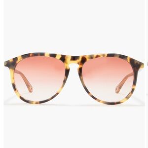 Chloé Havana Brown / Orange Aviator Pilot Sunglasses 56mm Tortoise Shell NEW